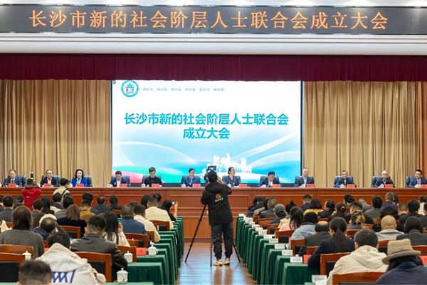 长沙市新阶联成立:友谊国际董事长张海岸当选名誉主席
