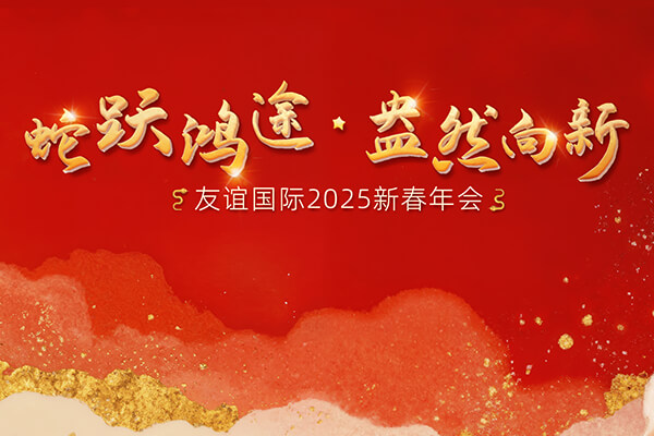 蛇跃鸿途,盎然向新 | 友谊国际2024年度工作总结表彰会隆重举行